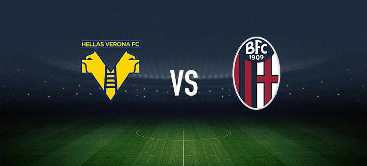 赛程密集的 赛程密集的