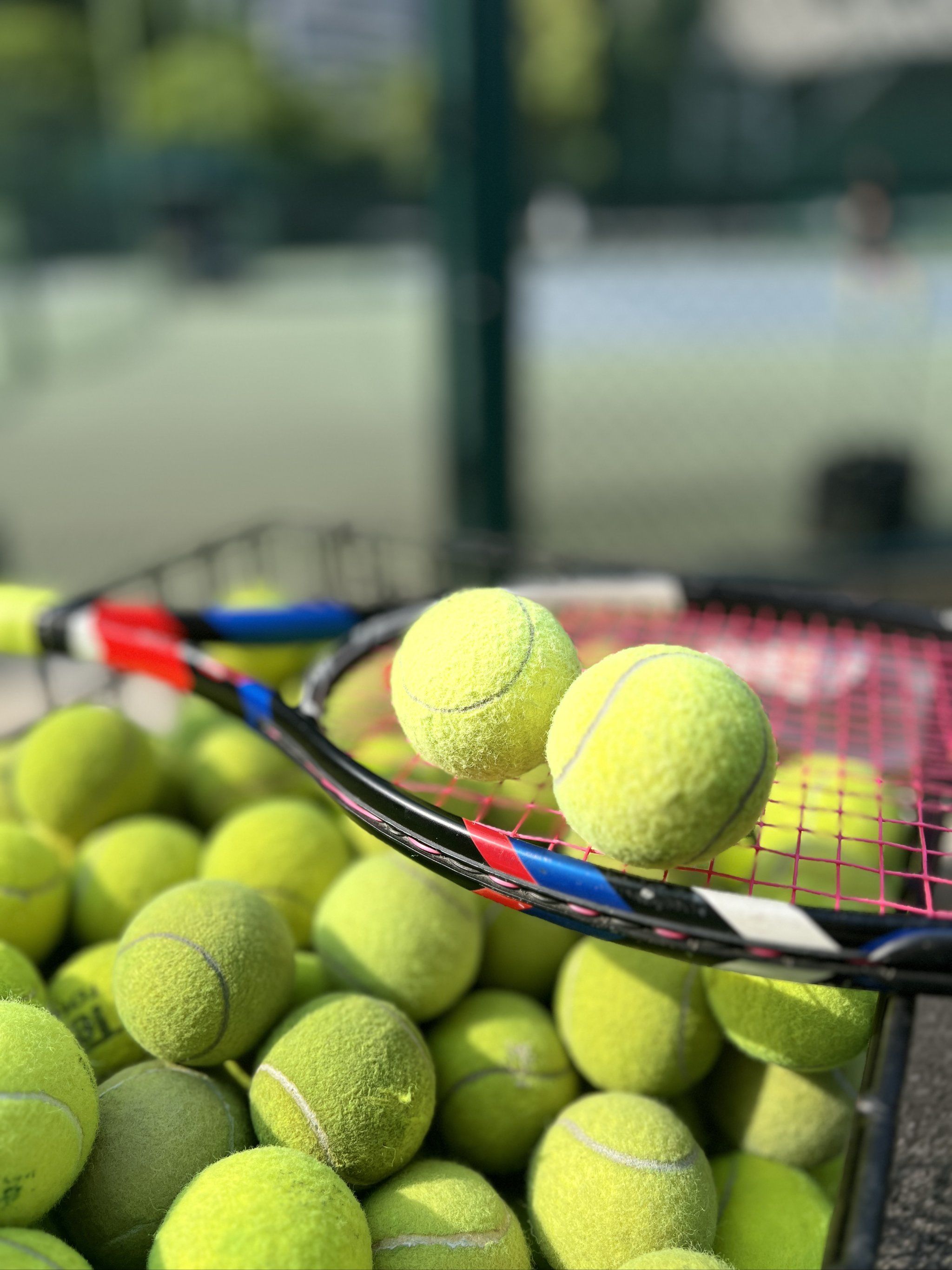 供的是启动 供的是启动