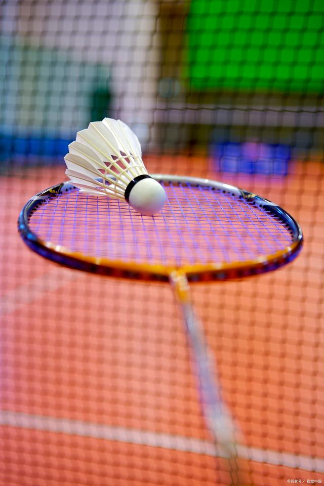 培育补偿等 培育补偿等